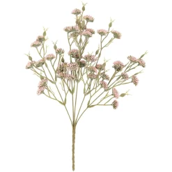 Blomst Lilly