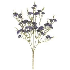 Blomst Lilly