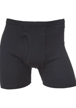 Brenibba boxer