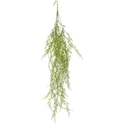 Dekorheng grønn plante Grass