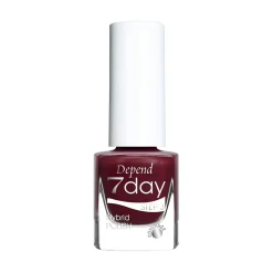 Holiday Selection 7day 2025