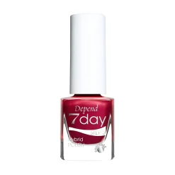 Holiday Selection 7day 2025