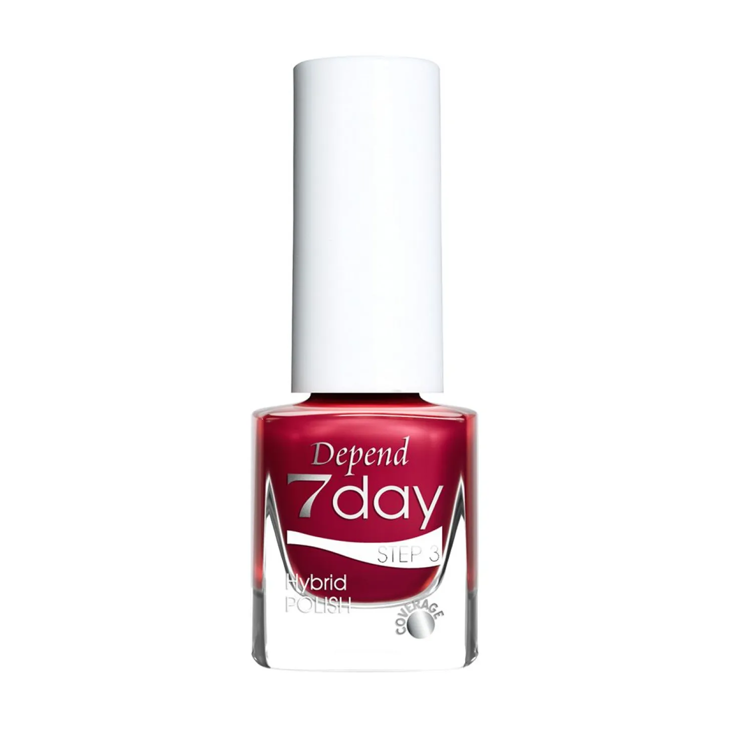Holiday Selection 7day 2025