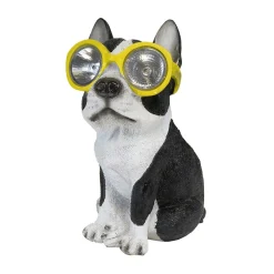 Hund med solarlys Kira