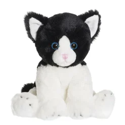 Katten Moje