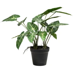 Plante grønn Angel 38cm
