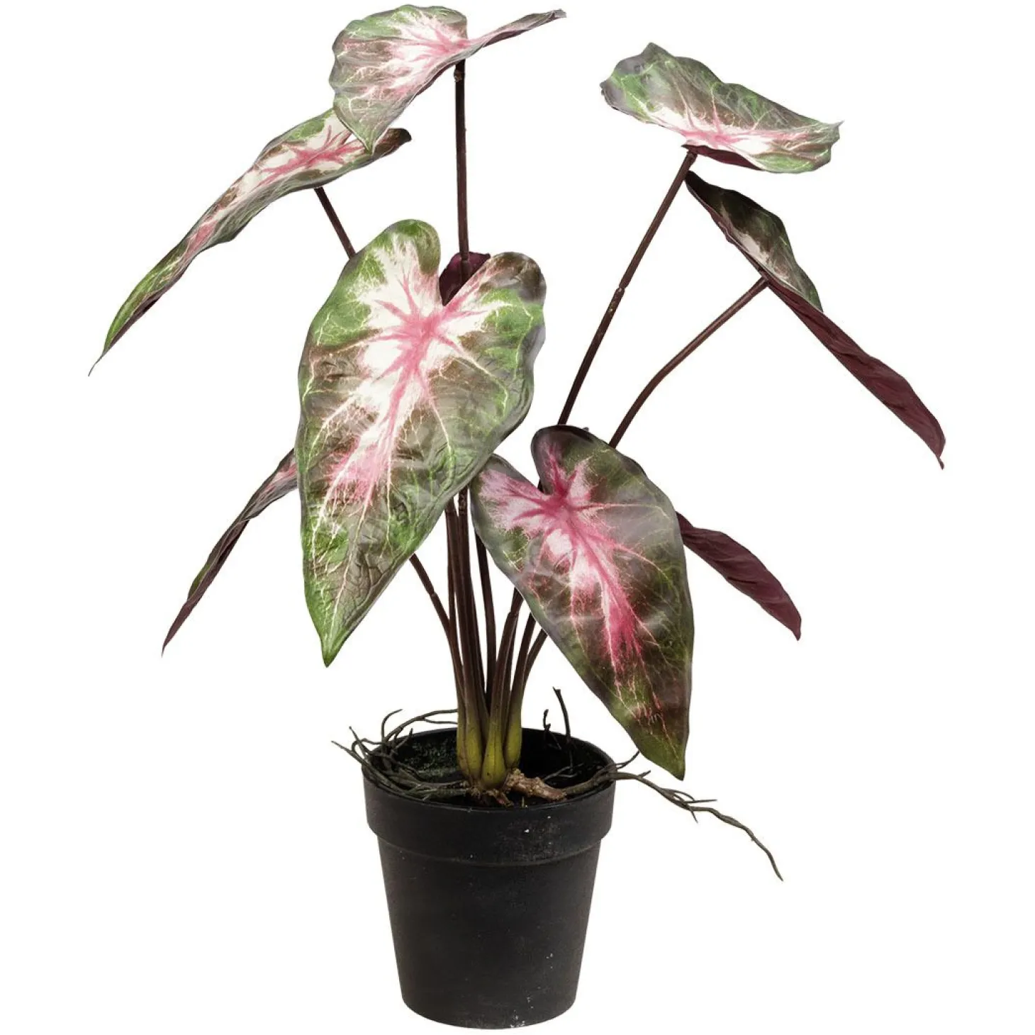 Plante rød Angel 37cm