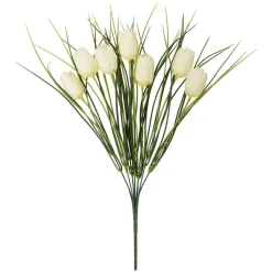 Tulipaner