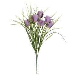 Tulipaner