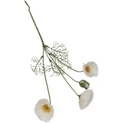 Valmuer